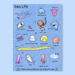 Sea life whale stingray octopus shark starfish eel squid jellyfish puffer fish sea bunny bear scuba diver stickers vinyl stickers set